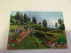 (U 18) Norfolk Island (with TONGA Stamp ? - Norfolk Island