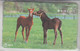 JAPAN HORSES 2 CARDS - Pferde