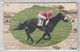 JAPAN HORSE RACES 2 CARDS - Pferde