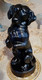 Statuette. Faithful Dog. - Altri & Non Classificati