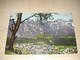 Salzkammergut, Goisern, Higher Austria, Stamp 1925 Goisern - Bad Goisern