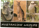 South Africa & Marcofilia,  Australian Wildlive, Koanla And Kangaroo, London 2008 (25) - Lettres & Documents