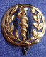 Insigne De Béret Service De Santé Des Armées - SSA - Casques & Coiffures