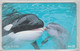 JAPAN KILLING WHALE AND DOLPHIN 2 CARDS - Dauphins
