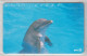 JAPAN KILLING WHALE AND DOLPHIN 2 CARDS - Delfines
