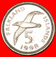 · ALBATROSS (1998-1999): FALKLAND ISLANDS ★ 5 PENCE 1998! LOW START★ NO RESERVE! - Falklandinseln