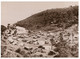 (V 9) Australia  - National Park & Wildlife (Historic Photo Repro - 1931) - Outback