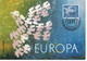 CARTE MAXIMUM  EUROPA 1961 - Cartoline Maximum