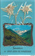 73   SAINT JEAN DE MAURIENNE , Souvenir  Fleurs   Edelweiss - Sammlungen & Sammellose