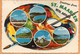 Sint Maarten Old Postcard Mailed - Saint-Martin