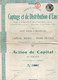 Action De Capital Au Porteur - S.A. Captage Et De Distribution D'Eau - Bruxelles 1920 - Acqua