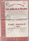 Part Sociale Sans Désignation De Valeur - S.A. Soie Artificielle De Myszkow - Renaix 1924. - Textile