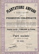 Part Sociale Sans Mention De Valeur - Plantations AMPARO à San-Thomé - Produits Coloniaux 1929. - Agriculture