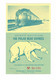 Ontario Northland Polar Bear Express Souvenir Portion Of TICKET, Cochrane To Moosonee, Northern Ontario - Autres & Non Classés