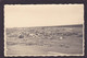 CPA Algérie Afrique Du Nord Carte Photo Voir Dos Perrégaux Mohammadia (Mascara) Catastrophe 1927 - Andere & Zonder Classificatie