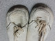 Delcampe - Vielles Chaussures D Enfants Clarks Suresteps - Schoenen
