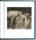 CURIOSA EROTIQUE - Les Petites Femmes De Paris, Photographies Vers 1920 - Other & Unclassified