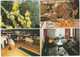 America: Vendorado Bungalowpark 'Loohorst*****': BOWLING, PANNENKOEK, INTERIEUR BUNGALOW - Limburg / Nederland-Holland - Horst