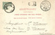 Nederland, MAARSSEN, Huize Bolenstein (1903) Ansichtkaart - Maarssen