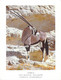 Afrique-NAMIBIE Namibia  AFRICA Oryx (gemsbok) Gazella Gazelle - Photo Gerald Hoberman    - TIMBRE STAMP NAMIBIA - Namibie