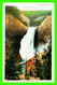 YELLOWSTONE, WY - GREAT FALL OF THE YELLOWSTONE, 308 FT. - YELLOWSTONE PARK - PUB. BY J. E. HAYNES - - Yellowstone