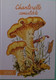 Petit Calendrier De Poche Humoristique   2010 Champignon Humanisé Chanterelle Comestible - Klein Formaat: 2001-...