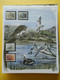 Delcampe - START 1 EURO: THE INTERNATIONAL BIRDLIFE STAMP COLLECTION: MNH Collection In Illustrated Album With Dust Cover - Collezioni (in Album)