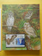 Delcampe - START 1 EURO: THE INTERNATIONAL BIRDLIFE STAMP COLLECTION: MNH Collection In Illustrated Album With Dust Cover - Sammlungen (im Alben)