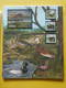 Delcampe - START 1 EURO: THE INTERNATIONAL BIRDLIFE STAMP COLLECTION: MNH Collection In Illustrated Album With Dust Cover - Sammlungen (im Alben)