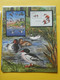 Delcampe - START 1 EURO: THE INTERNATIONAL BIRDLIFE STAMP COLLECTION: MNH Collection In Illustrated Album With Dust Cover - Collezioni (in Album)