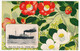 CPA - BATEAUX / JAPON - Nippon Yusan Kaisha S.S."HAKUSAN MARU" - Beau Décor Floral - Cargos