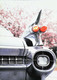 ►   Black CADILLAC Rear Coupé De Ville  1959 Automobile  - Us Card - American Roadside