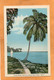 Dominica BWI Old Postcard - Dominica