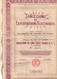 Obligation De 500 Frcs Au Porteur - Concessions Et Exploitations Electriques - Paris 1930. - Electricidad & Gas