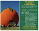 (W 15) Australia - SA - Big Orange Near Berri - Sonstige & Ohne Zuordnung