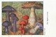 Champignons Cortinaire Pub Pharmacie Tyzine   Laboratoire Clin Pfizer   . Mushrooms . - Champignons
