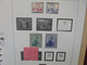 D.D.R 1949/50-1959 BELLE COLLECTION NEUVE**+*-ALBUM "SAFE" (2938) 1 KILO 800 - Unused Stamps