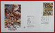 VATICANO VATIKAN VATICAN ANNO PAOLINO YEAR OF PAULUS JAHR FDC 2008 - Cartas & Documentos