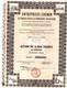 Action De 5000 Frcs Au Porteur - Entreprises CHEMIN Et Industrielle Foncière Routière - Paris 1902. - Industrie