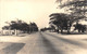 ¤¤  -  CONGO   -  Carte-Photo   -   POINTE NOIRE   -  Une Avenue     -   ¤¤ - Pointe-Noire