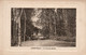 Méréville - Le Pont Des Roches - Carte Luxe De 1915 - Mereville