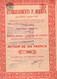 Action De 500 Frcs Au Porteur - Etablissements P.Herman S.A.- Pièces Détachées Cycles - Autos - Motos - Herstal 1923. - Industry