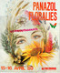 87 -PANAZOL- FLORALIES AVRIL 1989- ILLUSTRATION MICHALLON- CAISSE EPARGNE-BERNARD DELAGE MAIRE-DOMINIQUE LANARDE-PECAUD - Limousin