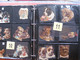 Delcampe - SCRAPS_MAP25 COLLECTION Anno 1880 à 1900 Litho Prints (count Yourself ) Die-cuts Anthropomorph Dogs Hunden Chien - Animals