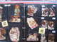 Delcampe - SCRAPS_MAP25 COLLECTION Anno 1880 à 1900 Litho Prints (count Yourself ) Die-cuts Anthropomorph Dogs Hunden Chien - Animaux