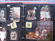 Delcampe - SCRAPS_MAP25 COLLECTION Anno 1880 à 1900 Litho Prints (count Yourself ) Die-cuts Anthropomorph Dogs Hunden Chien - Animaux