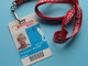 COUPE ROGERS CUP : CHRISTOPHE ROCHUS Belgium / Accreditation CARD / With ORIGINAL Lanyard / Cordon ! - Andere & Zonder Classificatie