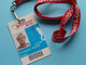 COUPE ROGERS CUP : CHRISTOPHE ROCHUS Belgium / Accreditation CARD / With ORIGINAL Lanyard / Cordon ! - Autres & Non Classés