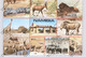 NAMIBIA - Wild Life, Etosha - Namibië
