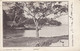 Samoa, Greetings From Apia, Savii Village On Water C1900s Vintage Postcard - Samoa